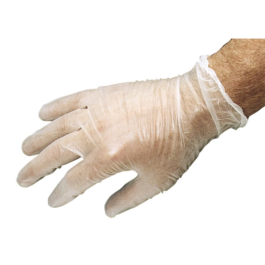 Vinyl Disposable Gloves (Large/9)