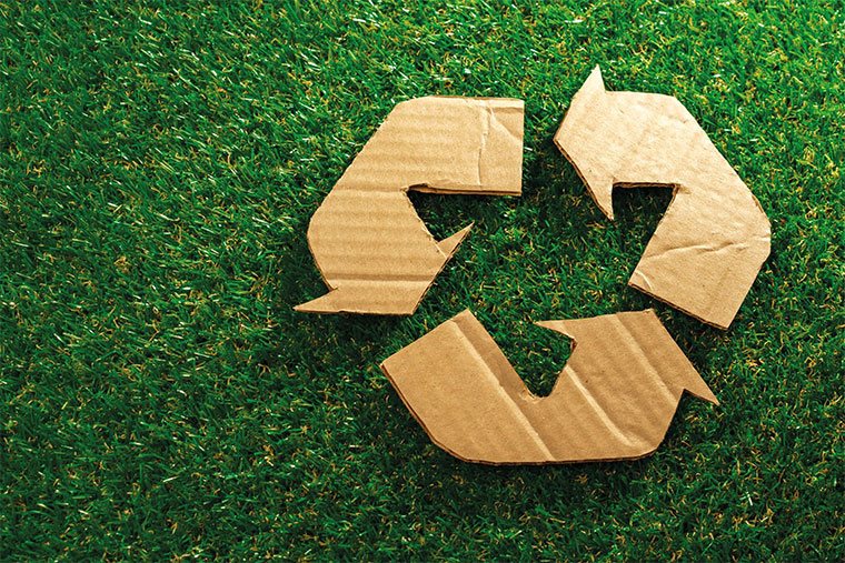 Cardboard recycled symbol on grass