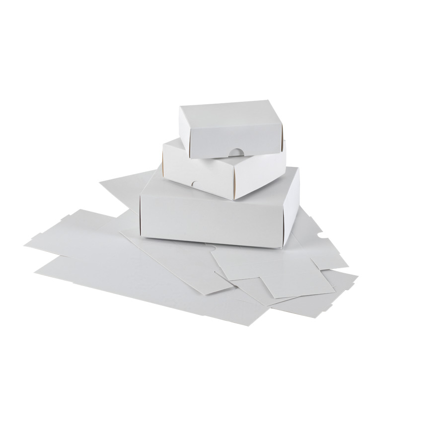 Small Business Card Boxes White die cut box and lid
